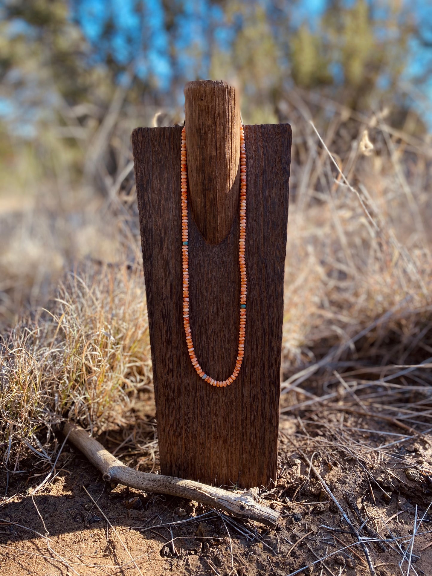 Orange Spiny Necklace image 0