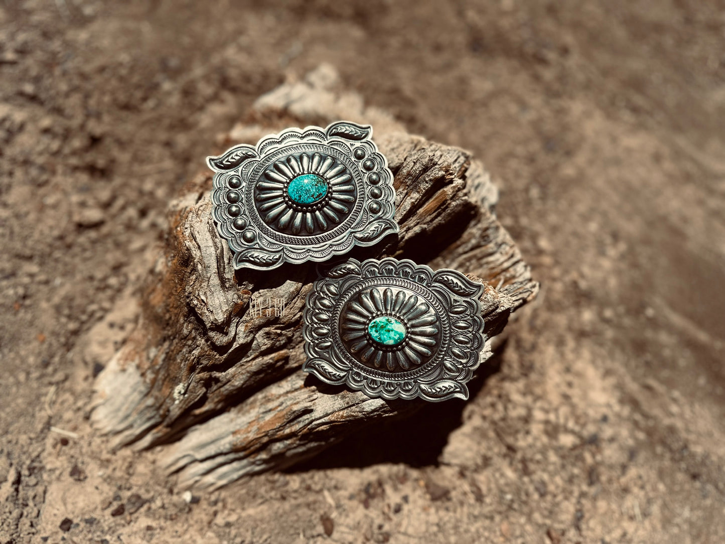 Statement Belt Buckles