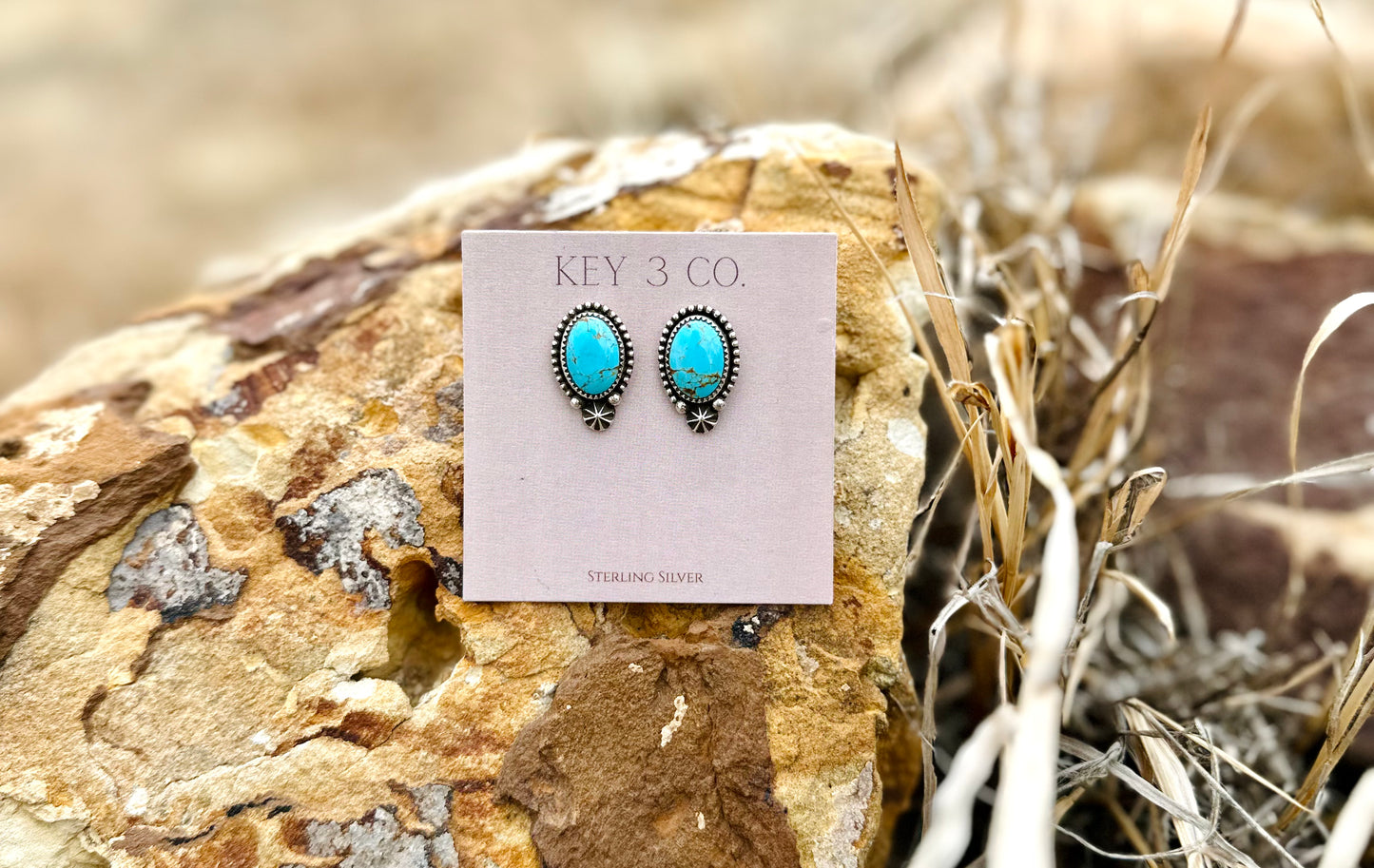 Blue with Brown Matrix Oval Studs