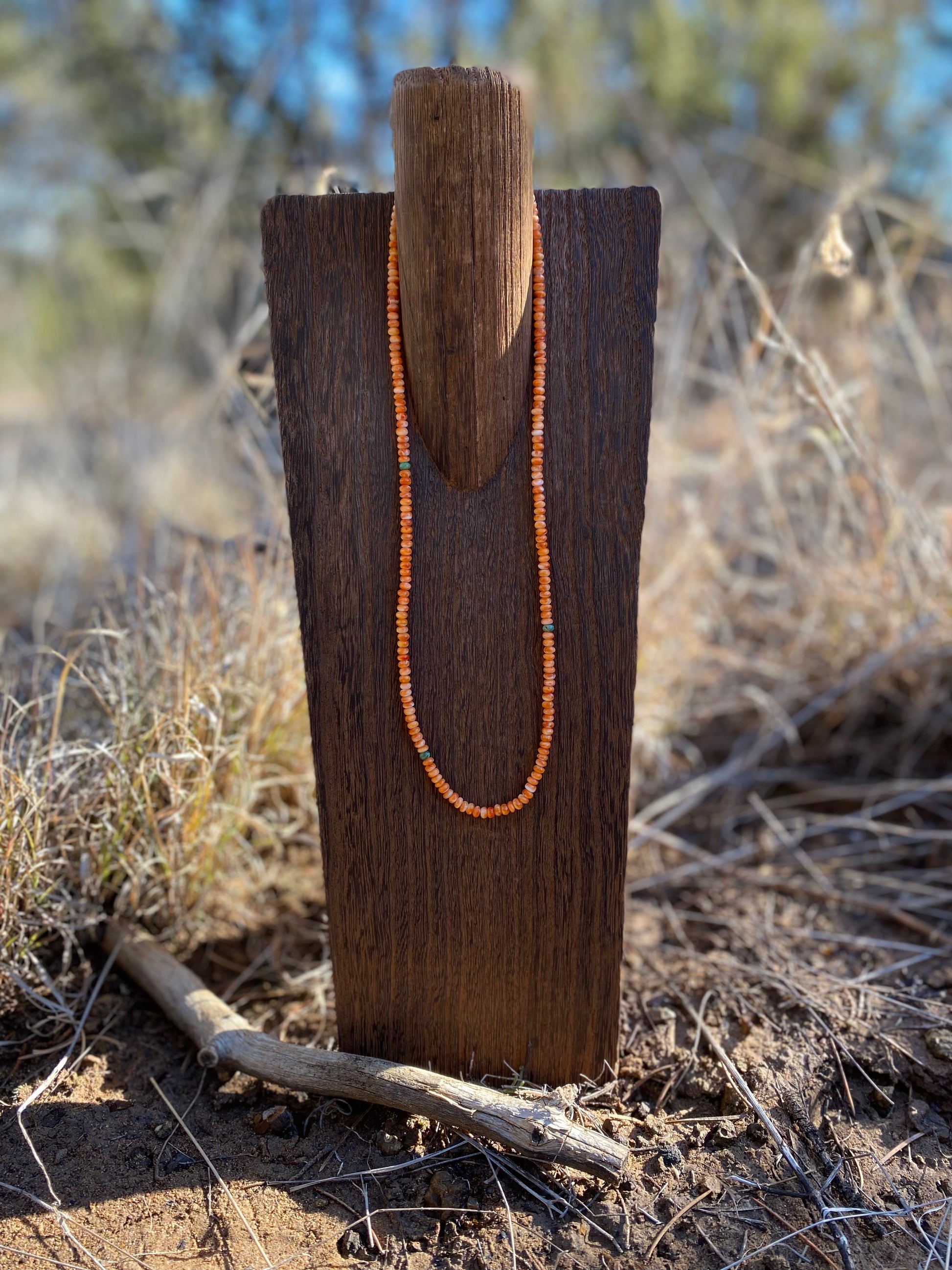 Orange Spiny Necklace image 0