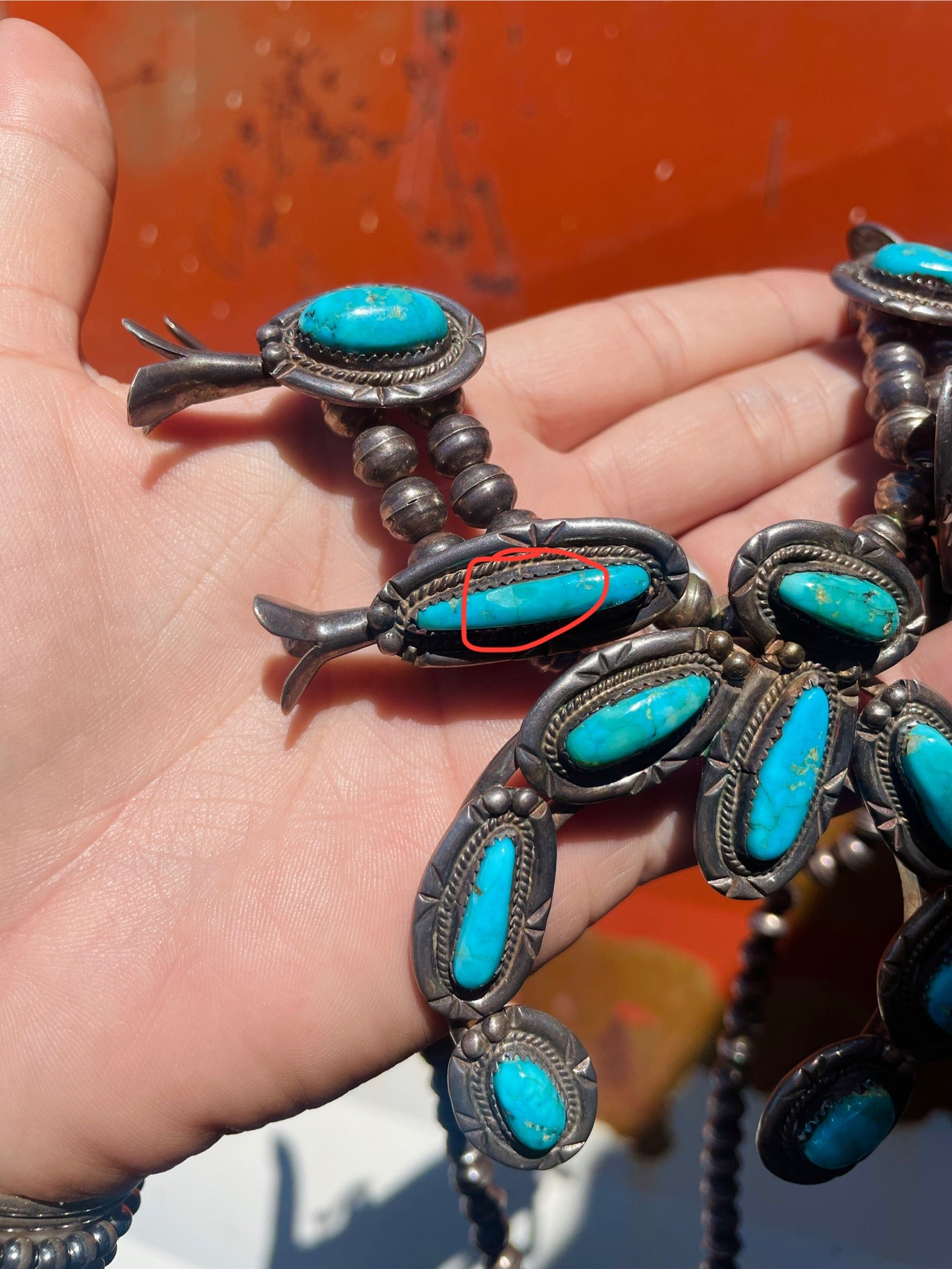 Vintage Turquoise Squash image 4